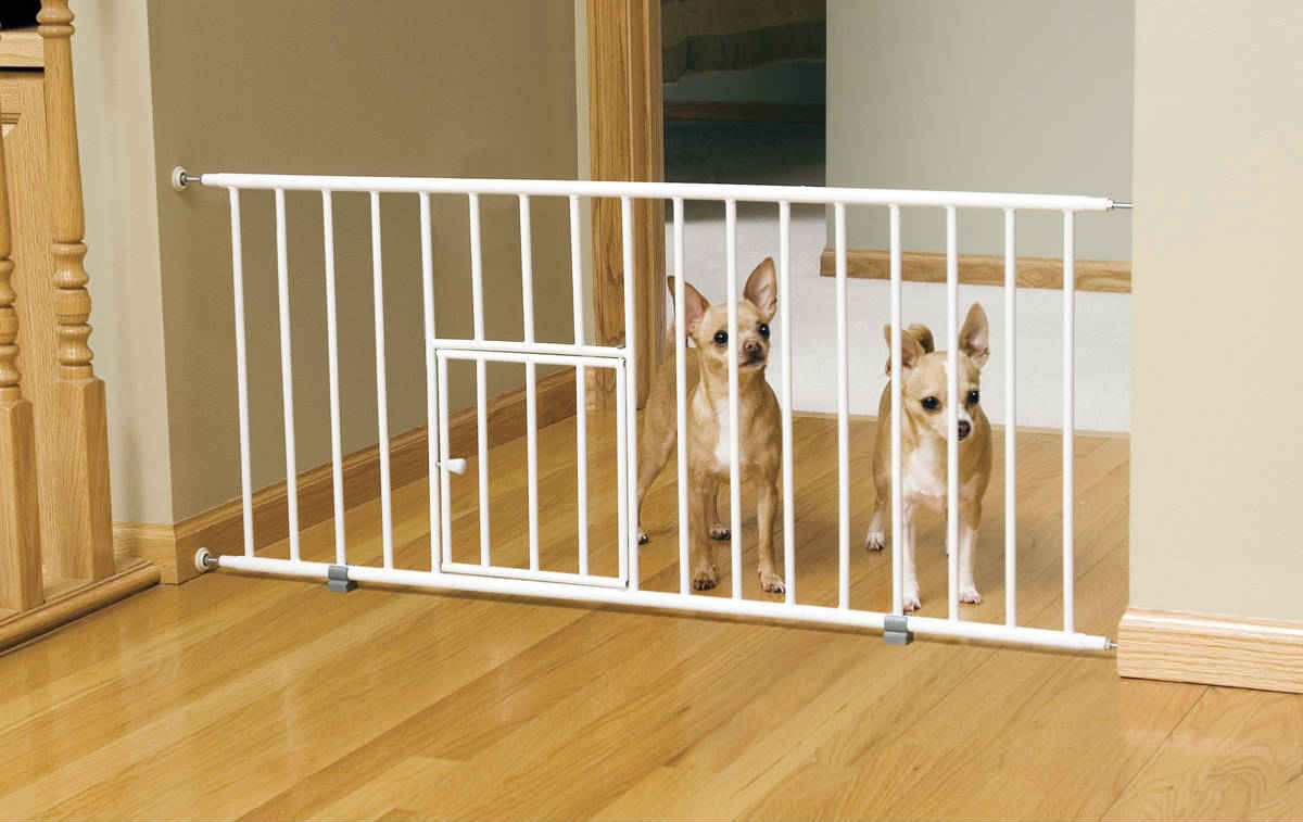 dog baby gate